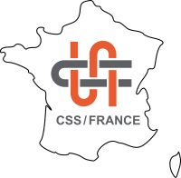 French Local Chapter of the Complex Systems Society - CSS/FR